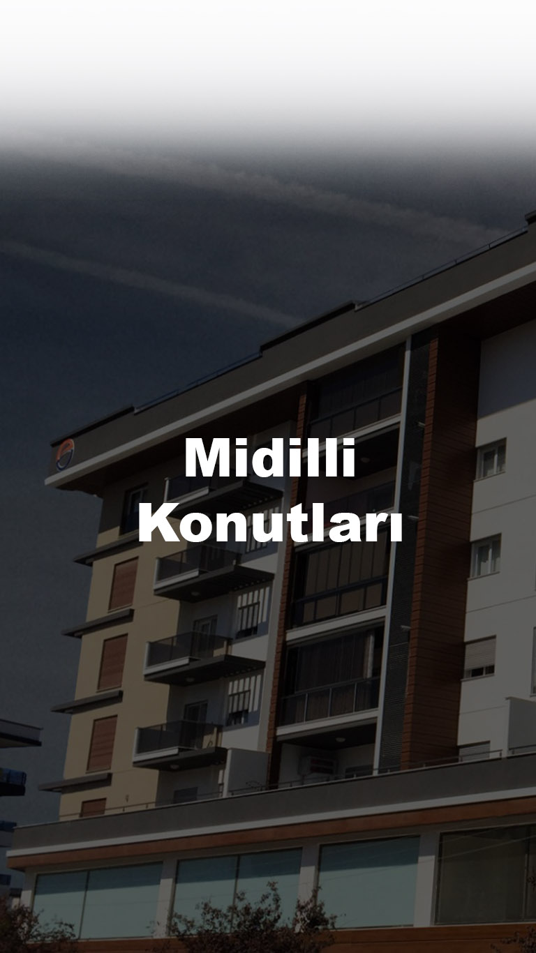 midilli