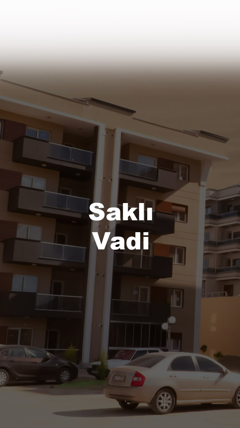 saklı vadi