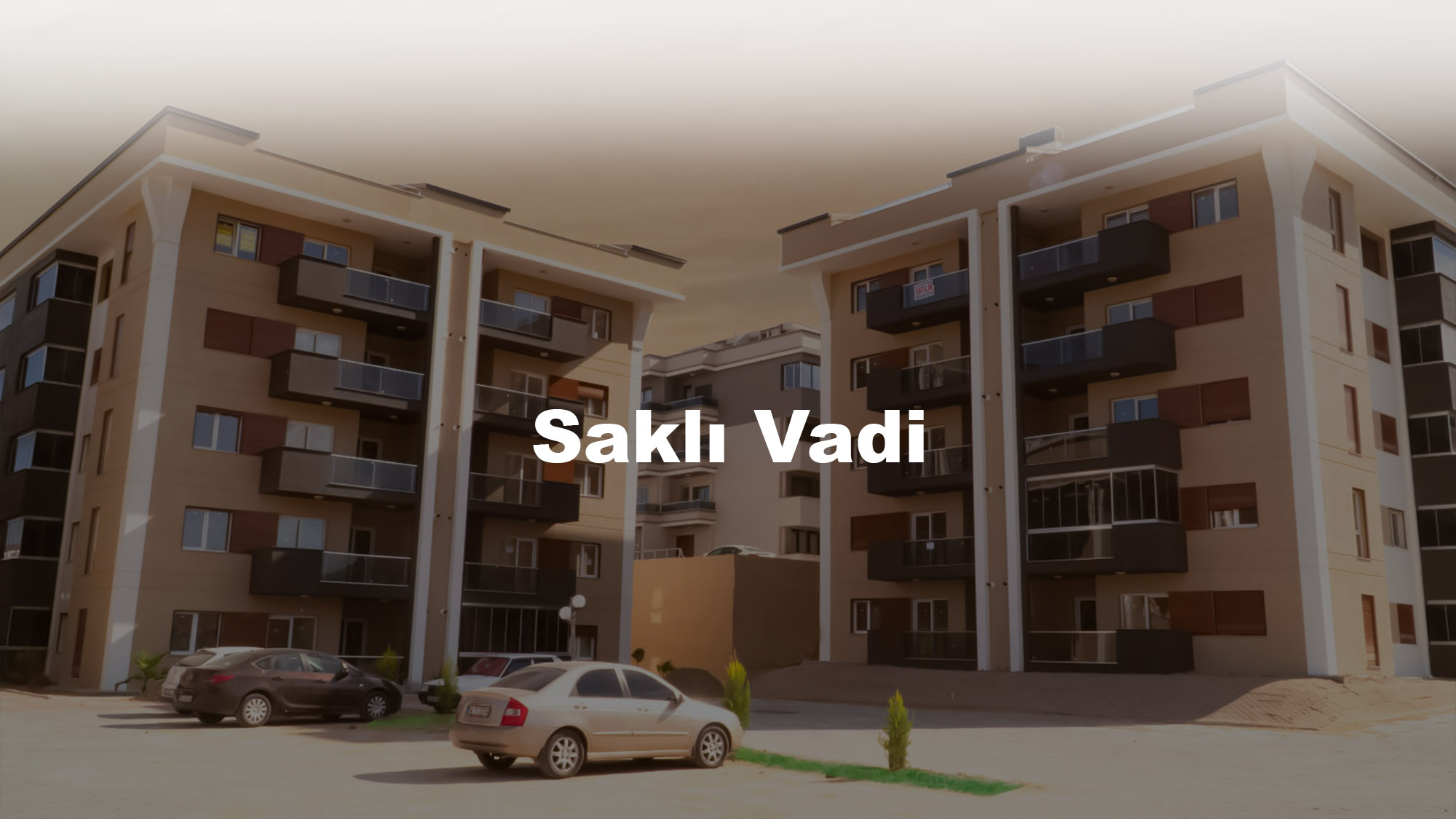 saklı vadi-d